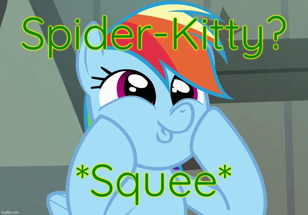 Dashface (MLP) | Spider-Kitty? *Squee* | image tagged in dashface mlp | made w/ Imgflip meme maker