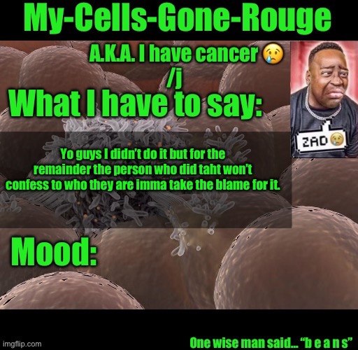 My-Cells-Gone-Rouge announcement | Yo guys I didn’t do it but for the remainder the person who did taht won’t confess to who they are imma take the blame for it. | image tagged in my-cells-gone-rouge announcement | made w/ Imgflip meme maker