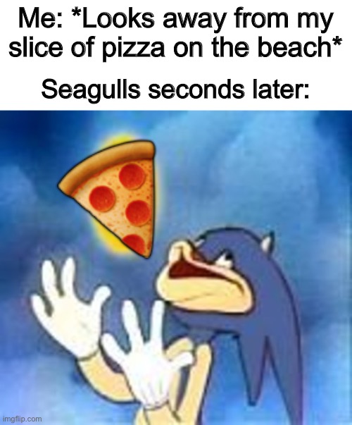 Good for them… bad for us humans ;-; | Me: *Looks away from my slice of pizza on the beach*; Seagulls seconds later:; 🍕 | image tagged in joyful sonic | made w/ Imgflip meme maker