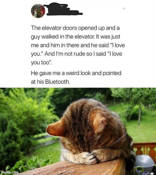 Embarrassed Cat | image tagged in embarrassed cat,elevator,bluetooth,embarrassing | made w/ Imgflip meme maker