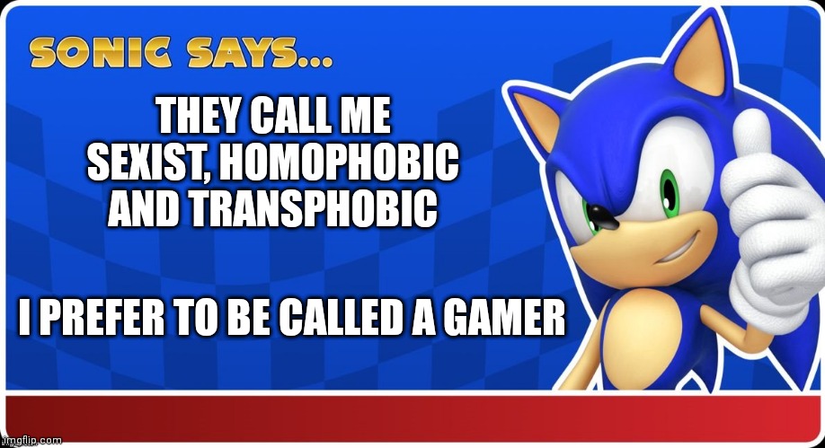Sonic Says (S&ASR) | THEY CALL ME SEXIST, HOMOPHOBIC  AND TRANSPHOBIC; I PREFER TO BE CALLED A GAMER | image tagged in sonic says s asr | made w/ Imgflip meme maker