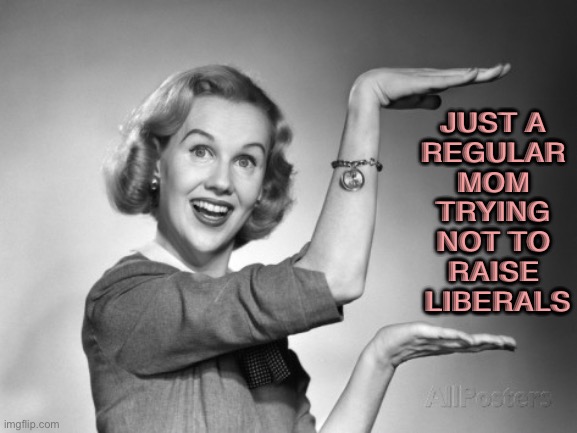 Just A Regular Mom | JUST A 
REGULAR 
MOM 
TRYING 
NOT TO 
RAISE 
LIBERALS | image tagged in vintage | made w/ Imgflip meme maker
