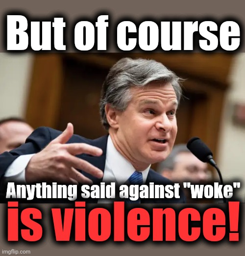 Chris Wray FBI | But of course Anything said against "woke" is violence! | image tagged in chris wray fbi | made w/ Imgflip meme maker