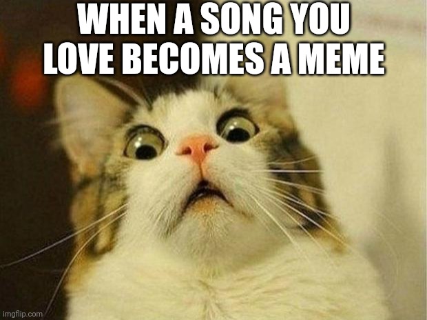 Scared Cat Meme | WHEN A SONG YOU LOVE BECOMES A MEME | image tagged in memes,scared cat | made w/ Imgflip meme maker