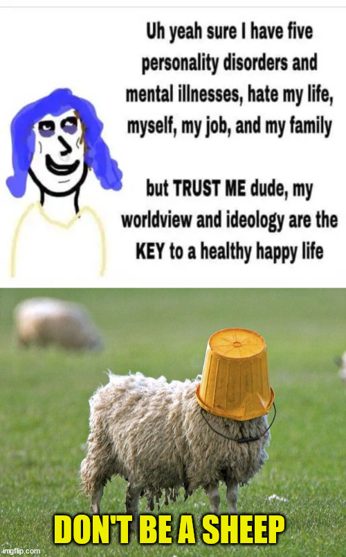 Just say no to the cult... | DON'T BE A SHEEP | image tagged in stupid sheep,triggered liberal,cult | made w/ Imgflip meme maker