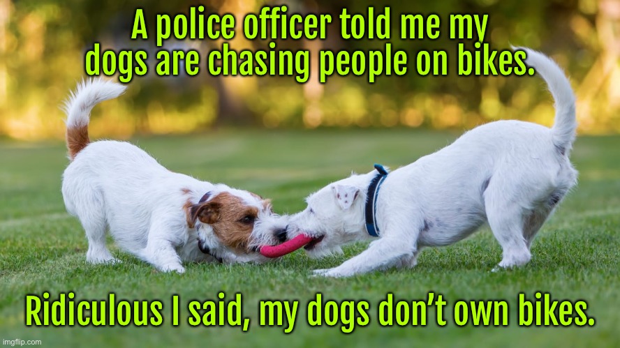 Chasing people on bikes | A police officer told me my dogs are chasing people on bikes. Ridiculous I said, my dogs don’t own bikes. | image tagged in play in the park,my dogs chasing people,on bikes,my dogs,do not own bikes | made w/ Imgflip meme maker