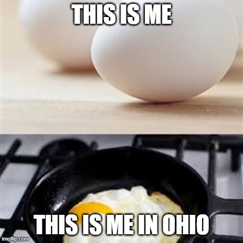 OHIO | THIS IS ME; THIS IS ME IN OHIO | image tagged in brain brain on drugs egg | made w/ Imgflip meme maker