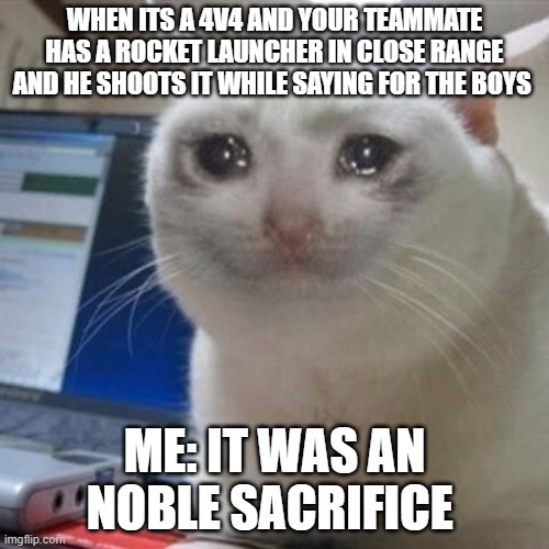 :( | WHEN ITS A 4V4 AND YOUR TEAMMATE HAS A ROCKET LAUNCHER IN CLOSE RANGE AND HE SHOOTS IT WHILE SAYING FOR THE BOYS; ME: IT WAS AN NOBLE SACRIFICE | image tagged in crying cat | made w/ Imgflip meme maker