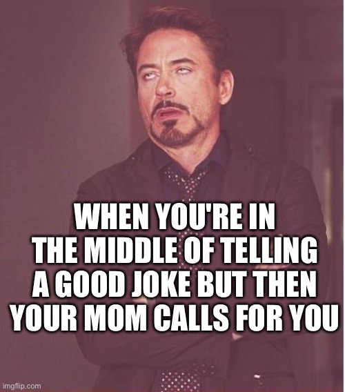 It ruins the joke | WHEN YOU'RE IN THE MIDDLE OF TELLING A GOOD JOKE BUT THEN YOUR MOM CALLS FOR YOU | image tagged in memes,face you make robert downey jr,funny,funny memes,meme | made w/ Imgflip meme maker
