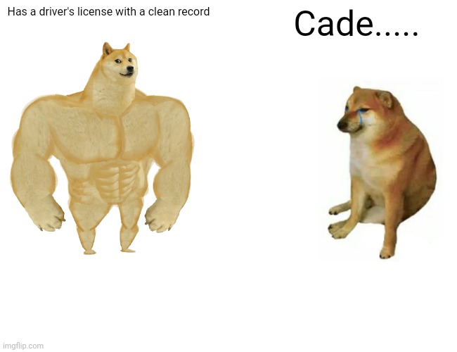 Buff Doge vs. Cheems | Has a driver's license with a clean record; Cade..... | image tagged in memes,buff doge vs cheems | made w/ Imgflip meme maker