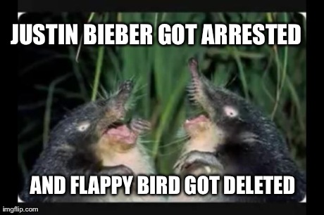 JUSTIN BIEBER GOT ARRESTED AND FLAPPY BIRD GOT DELETED | image tagged in party moles | made w/ Imgflip meme maker