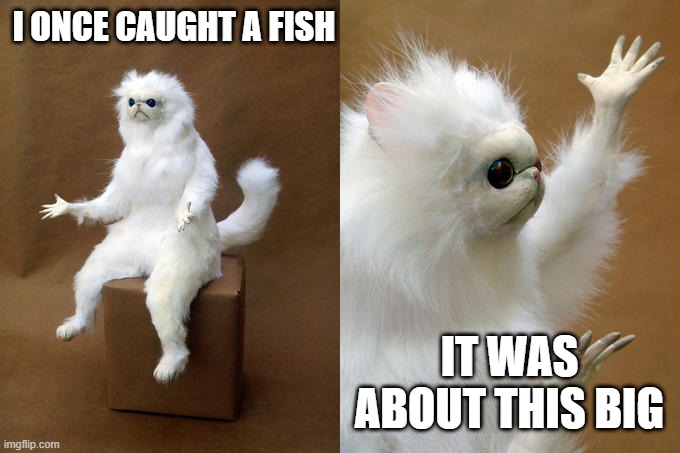 Persian Cat Room Guardian | I ONCE CAUGHT A FISH; IT WAS ABOUT THIS BIG | image tagged in memes,persian cat room guardian,shitpost | made w/ Imgflip meme maker
