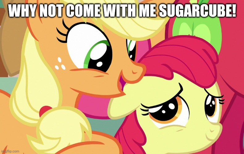 WHY NOT COME WITH ME SUGARCUBE! | made w/ Imgflip meme maker