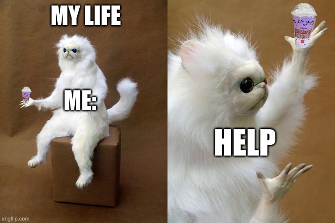 my life | MY LIFE; ME:; HELP | image tagged in memes,persian cat room guardian | made w/ Imgflip meme maker