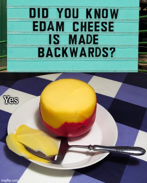 Edam made backwards | Yes | image tagged in edam,cheese,backwards,pun,puns,memes | made w/ Imgflip meme maker