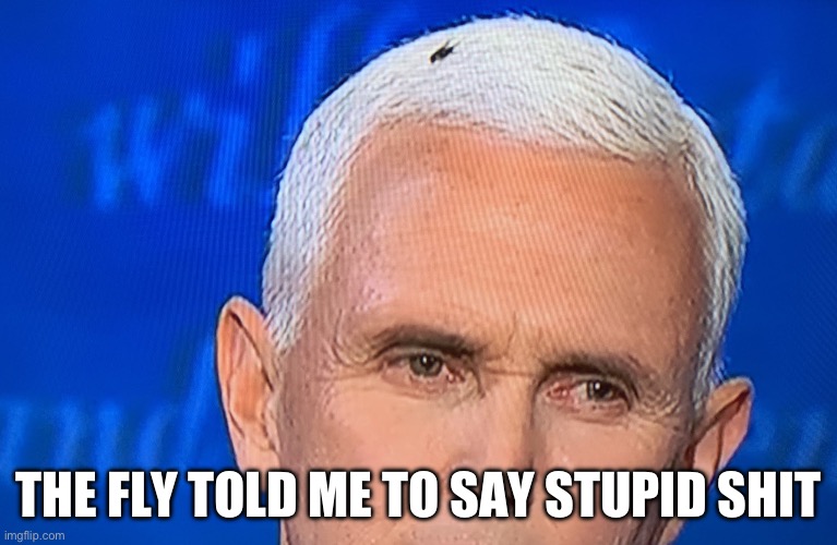 Pence Fly | THE FLY TOLD ME TO SAY STUPID SHIT | image tagged in pence fly | made w/ Imgflip meme maker