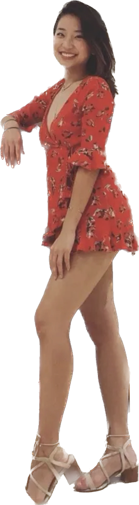 Lanh mi Blank Meme Template