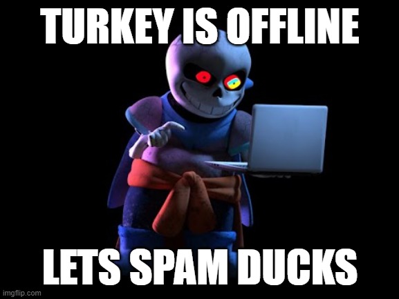 TURKEY IS OFFLINE; LETS SPAM DUCKS | made w/ Imgflip meme maker