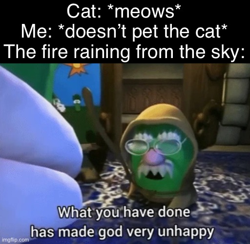 Ok I’m sorry I didn’t pet the cat | Cat: *meows*
Me: *doesn’t pet the cat*
The fire raining from the sky: | image tagged in what you have done has made god very unhappy | made w/ Imgflip meme maker