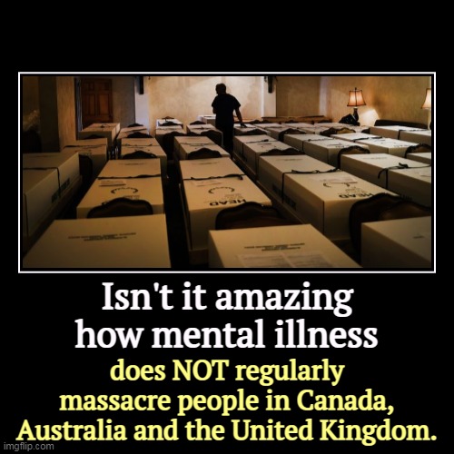 Over 466 mass shootings in 2023 so far in the United States, and the year is young. | Isn't it amazing how mental illness | does NOT regularly massacre people in Canada, Australia and the United Kingdom. | image tagged in funny,demotivationals,mass shootings,mental illness,united states,canada | made w/ Imgflip demotivational maker