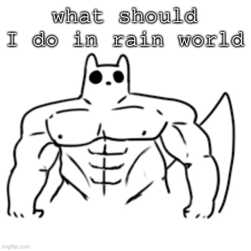 gain world | what should I do in rain world | image tagged in gain world | made w/ Imgflip meme maker