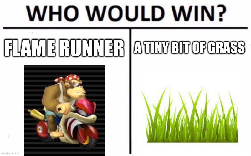 I hate off-road so much man | FLAME RUNNER; A TINY BIT OF GRASS | image tagged in memes,who would win,mario kart,gaming,wii | made w/ Imgflip meme maker