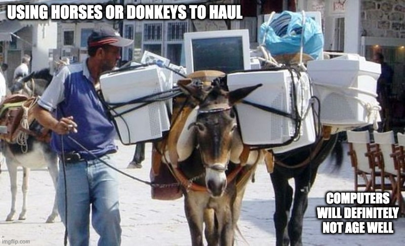 Donkey With Computer Monitors | USING HORSES OR DONKEYS TO HAUL; COMPUTERS WILL DEFINITELY NOT AGE WELL | image tagged in donkey,memes,computer | made w/ Imgflip meme maker