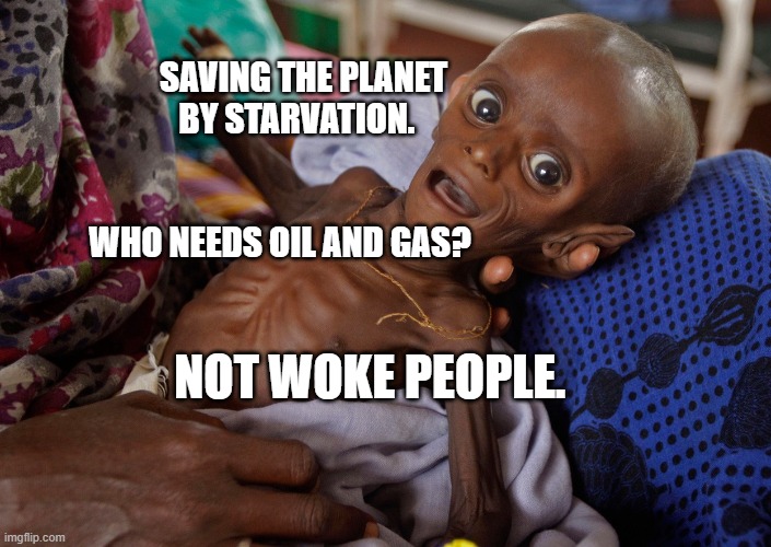 covid kid | SAVING THE PLANET BY STARVATION.  
                                               WHO NEEDS OIL AND GAS? NOT WOKE PEOPLE. | image tagged in covid kid | made w/ Imgflip meme maker