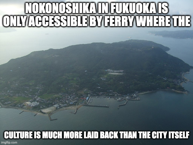 Nokonoshima | NOKONOSHIKA IN FUKUOKA IS ONLY ACCESSIBLE BY FERRY WHERE THE; CULTURE IS MUCH MORE LAID BACK THAN THE CITY ITSELF | image tagged in island,city,memes | made w/ Imgflip meme maker