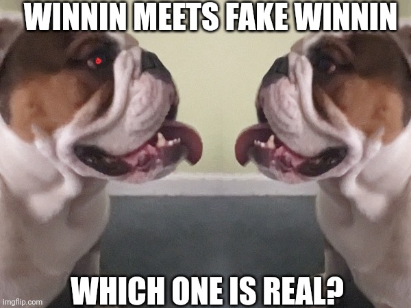 Fake winnin manifests in the real world | WINNIN MEETS FAKE WINNIN; WHICH ONE IS REAL? | image tagged in fake winnin,imposter,sus,winnin,dark matter being | made w/ Imgflip meme maker