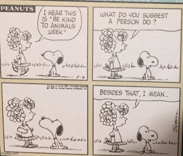 Snoopy comic “be kind to animals week” | made w/ Imgflip meme maker