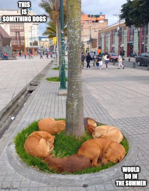 Dogs Sleeping Under a Tree | THIS IS SOMETHING DOGS; WOULD DO IN THE SUMMER | image tagged in dogs,memes | made w/ Imgflip meme maker
