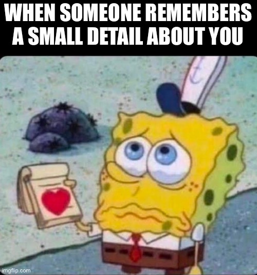 WHEN SOMEONE REMEMBERS A SMALL DETAIL ABOUT YOU | image tagged in wholesome,memes,funny | made w/ Imgflip meme maker