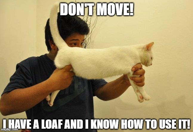 DON'T MOVE! I HAVE A LOAF AND I KNOW HOW TO USE IT! | image tagged in guns | made w/ Imgflip meme maker