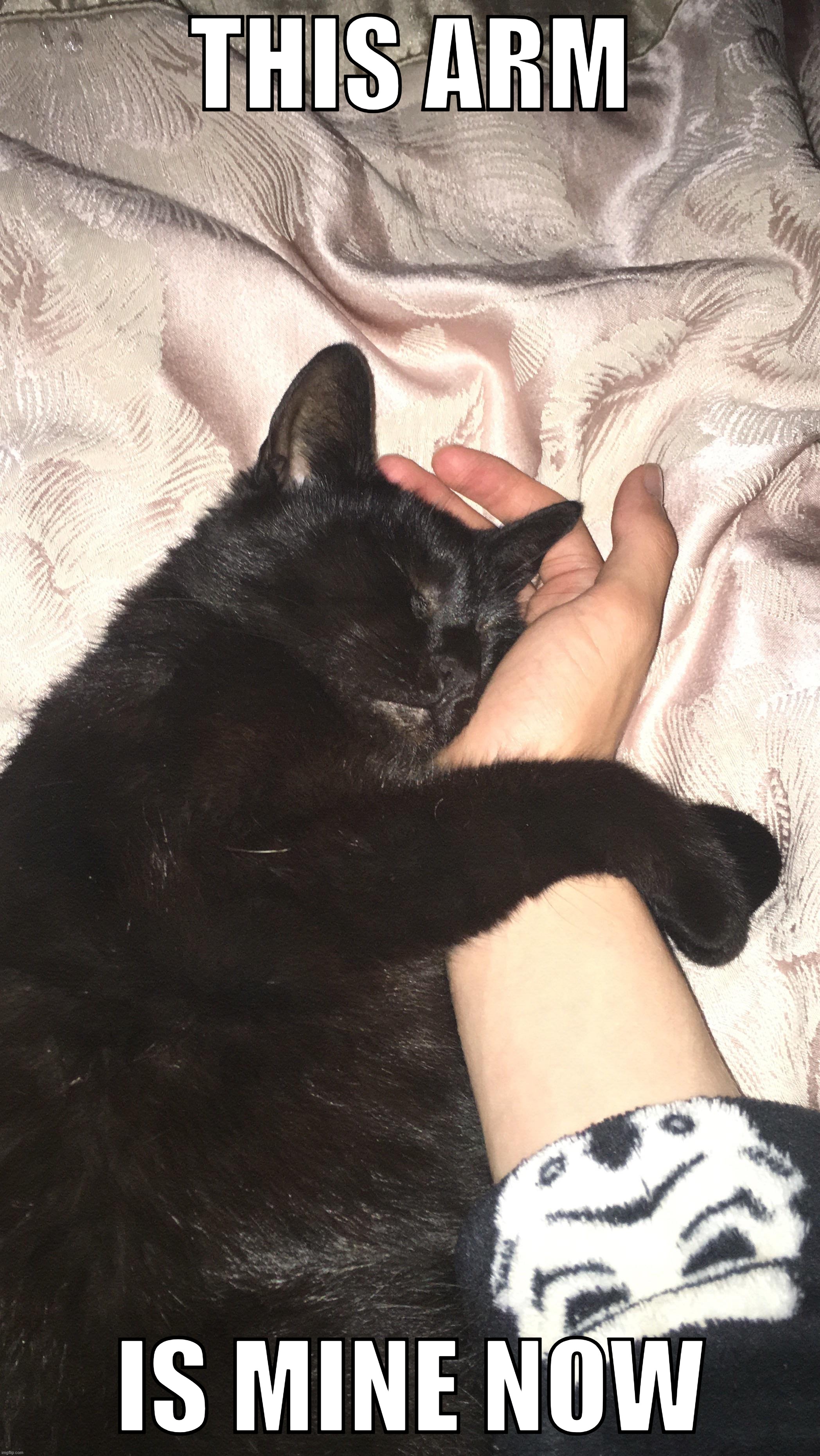 THIS ARM; IS MINE NOW | image tagged in mine | made w/ Imgflip meme maker