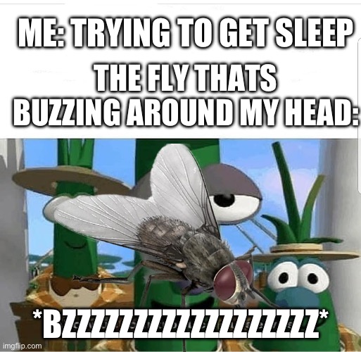 help | ME: TRYING TO GET SLEEP; THE FLY THATS BUZZING AROUND MY HEAD:; *BZZZZZZZZZZZZZZZZZZ* | image tagged in fly,buzz,sleeping,sleep,veggietales 'allow us to introduce ourselfs',help | made w/ Imgflip meme maker