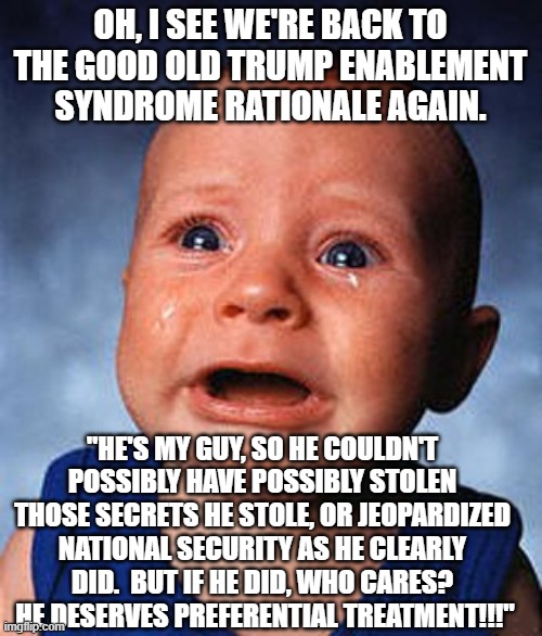 Crying baby  | OH, I SEE WE'RE BACK TO THE GOOD OLD TRUMP ENABLEMENT SYNDROME RATIONALE AGAIN. "HE'S MY GUY, SO HE COULDN'T POSSIBLY HAVE POSSIBLY STOLEN T | image tagged in crying baby | made w/ Imgflip meme maker