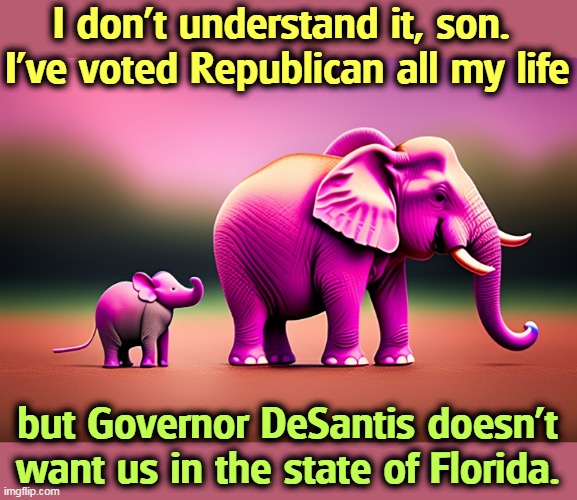 I don't understand it, son. 
I've voted Republican all my life; but Governor DeSantis doesn't want us in the state of Florida. | image tagged in pink,elephants,ron desantis,florida | made w/ Imgflip meme maker