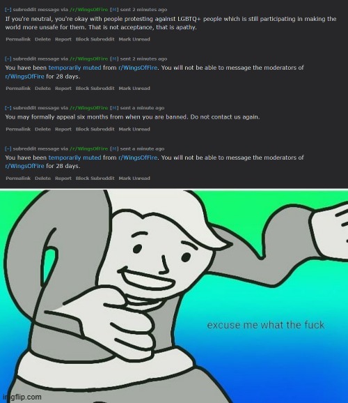 Wtf | image tagged in fallout boy excuse me wyf | made w/ Imgflip meme maker