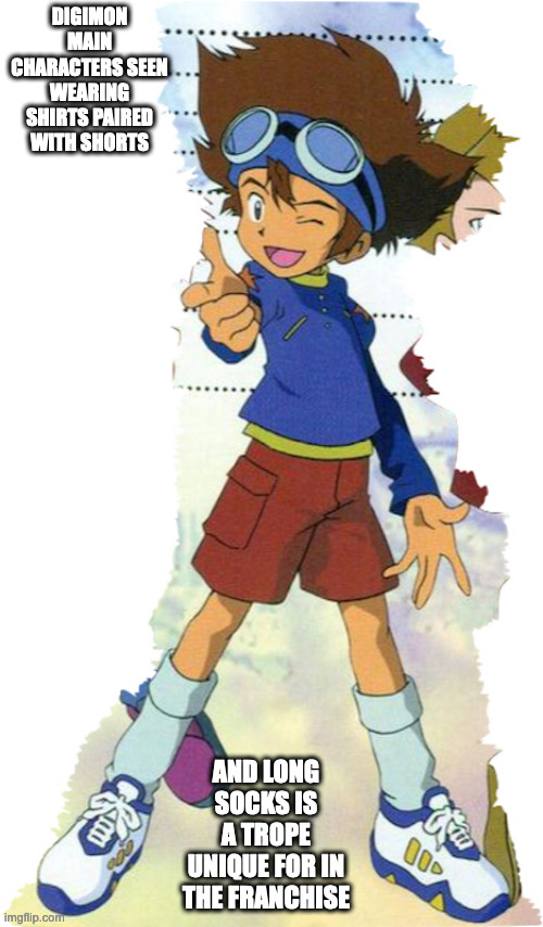 Tai's Attire | DIGIMON MAIN CHARACTERS SEEN WEARING SHIRTS PAIRED WITH SHORTS; AND LONG SOCKS IS A TROPE UNIQUE FOR IN THE FRANCHISE | image tagged in memes,tai kamiya,digimon | made w/ Imgflip meme maker