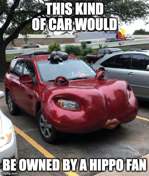 Hippo-Themed Car | THIS KIND OF CAR WOULD; BE OWNED BY A HIPPO FAN | image tagged in cars,memes | made w/ Imgflip meme maker