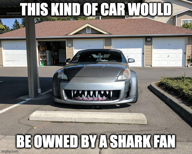 Shark-Themed Car | THIS KIND OF CAR WOULD; BE OWNED BY A SHARK FAN | image tagged in cars,memes | made w/ Imgflip meme maker