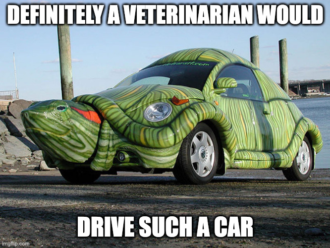 Turtle Car | DEFINITELY A VETERINARIAN WOULD; DRIVE SUCH A CAR | image tagged in cars,memes | made w/ Imgflip meme maker