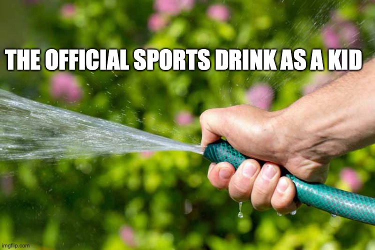 We all did this during the summer | THE OFFICIAL SPORTS DRINK AS A KID | image tagged in funny memes,relatable memes,nostalgia,summer | made w/ Imgflip meme maker