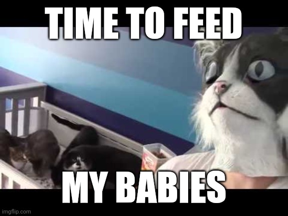 TIME TO FEED; MY BABIES | made w/ Imgflip meme maker