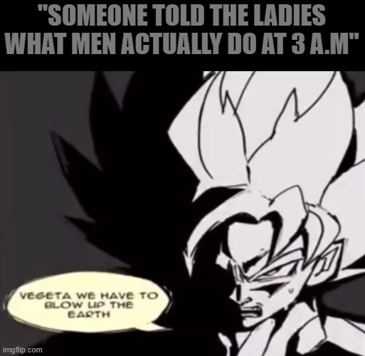 Goku and Vegeta finally agree | "SOMEONE TOLD THE LADIES WHAT MEN ACTUALLY DO AT 3 A.M" | image tagged in goku and vegeta finally agree | made w/ Imgflip meme maker