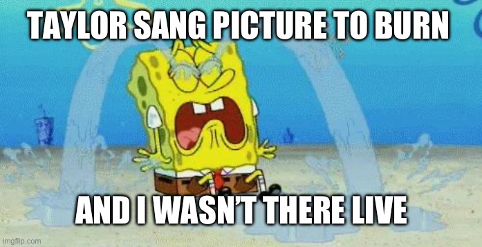 Taylor sang picture to burn | TAYLOR SANG PICTURE TO BURN; AND I WASN’T THERE LIVE | image tagged in sad crying spongebob,taylor swift,eras tour,picture to burn | made w/ Imgflip meme maker