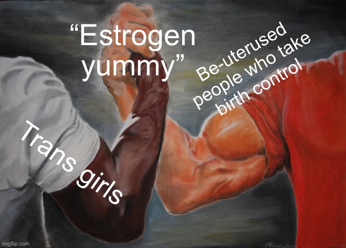 Solidarity ?? | “Estrogen yummy”; Be-uterused people who take birth control; Trans girls | image tagged in memes,epic handshake | made w/ Imgflip meme maker