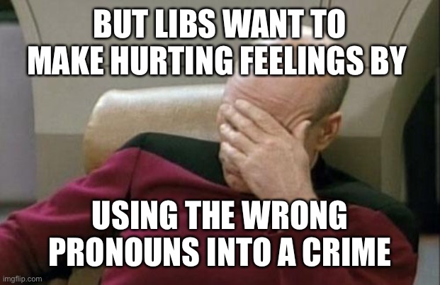 Captain Picard Facepalm Meme | BUT LIBS WANT TO MAKE HURTING FEELINGS BY USING THE WRONG PRONOUNS INTO A CRIME | image tagged in memes,captain picard facepalm | made w/ Imgflip meme maker