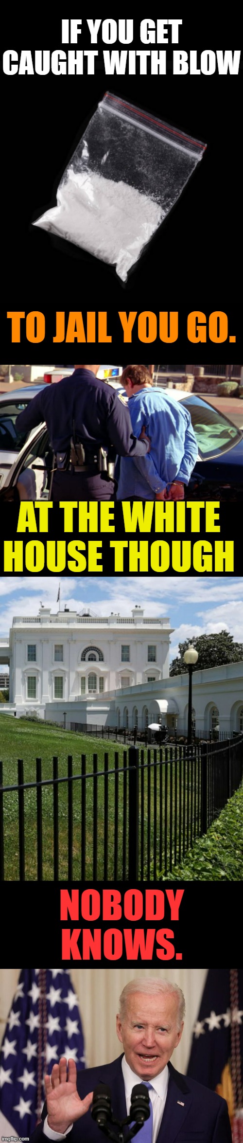 Oh How They Lie To Us | IF YOU GET CAUGHT WITH BLOW; TO JAIL YOU GO. AT THE WHITE HOUSE THOUGH; NOBODY KNOWS. | image tagged in memes,politics,cocaine,jail,white house,nobody cares | made w/ Imgflip meme maker